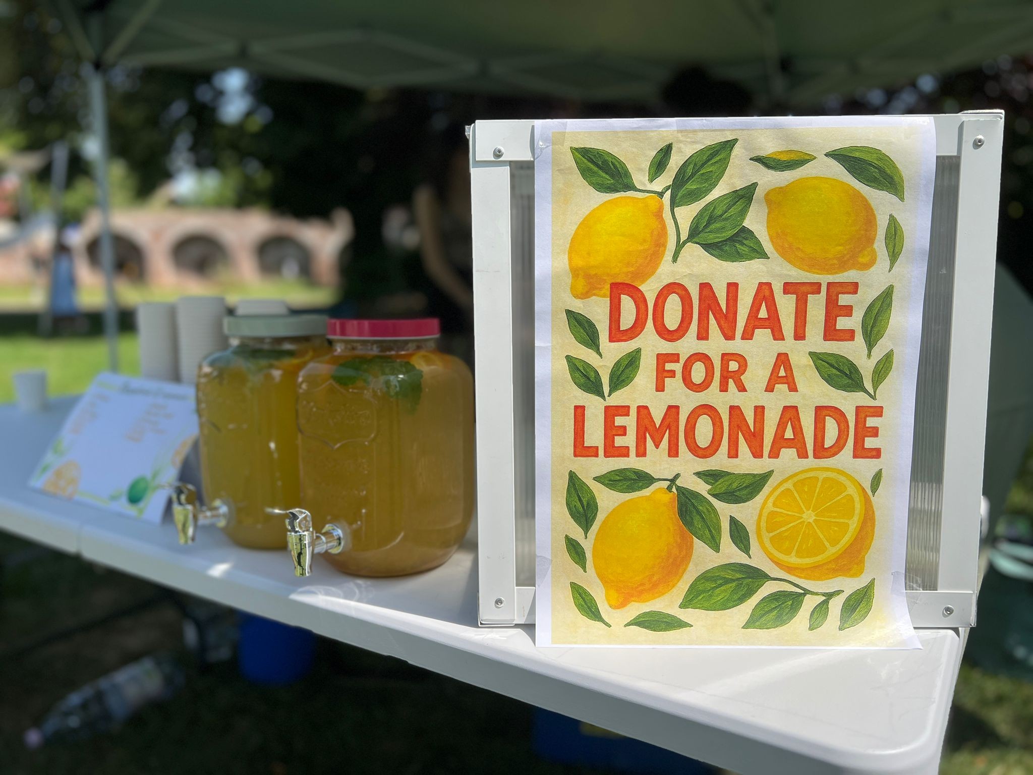 Limonádés adománygyűjtés